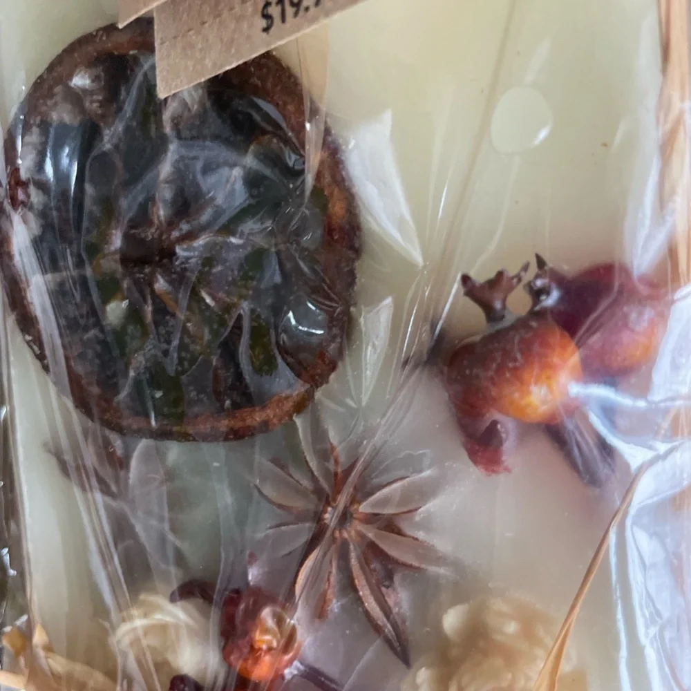 PIER 1 IMPORTS FALL BOTANICS FRAGRANCE WAX SACHET NEW (1 SACHET)